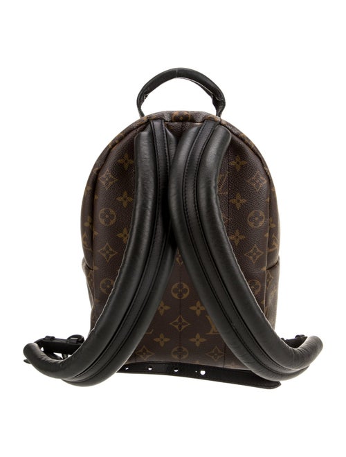 Louis Vuitton LV Monogram Palm Springs PM