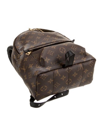 Louis Vuitton LV Monogram Palm Springs PM
