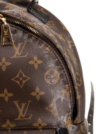 Louis Vuitton LV Monogram Palm Springs PM