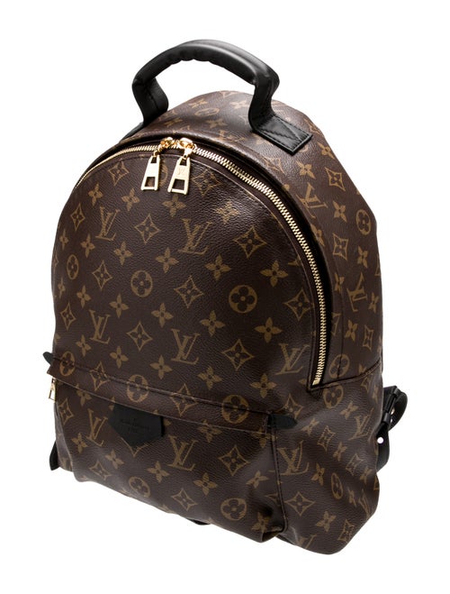 Louis Vuitton LV Monogram Palm Springs MM