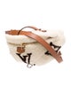 Louis Vuitton Monogram Giant Bumbag
