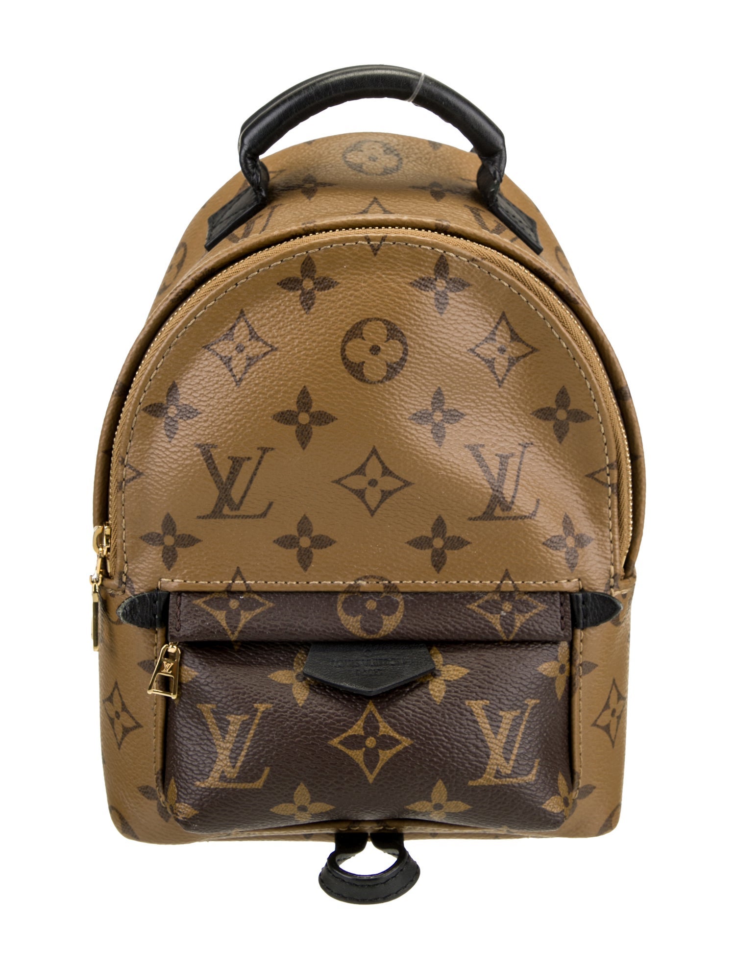 Louis Vuitton LV Monogram Palm Springs Mini