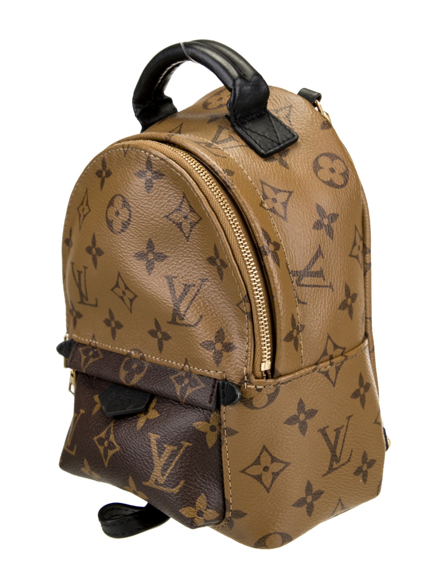 Louis Vuitton LV Monogram Palm Springs Mini