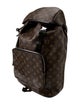 Louis Vuitton Coated Canvas Palm Springs