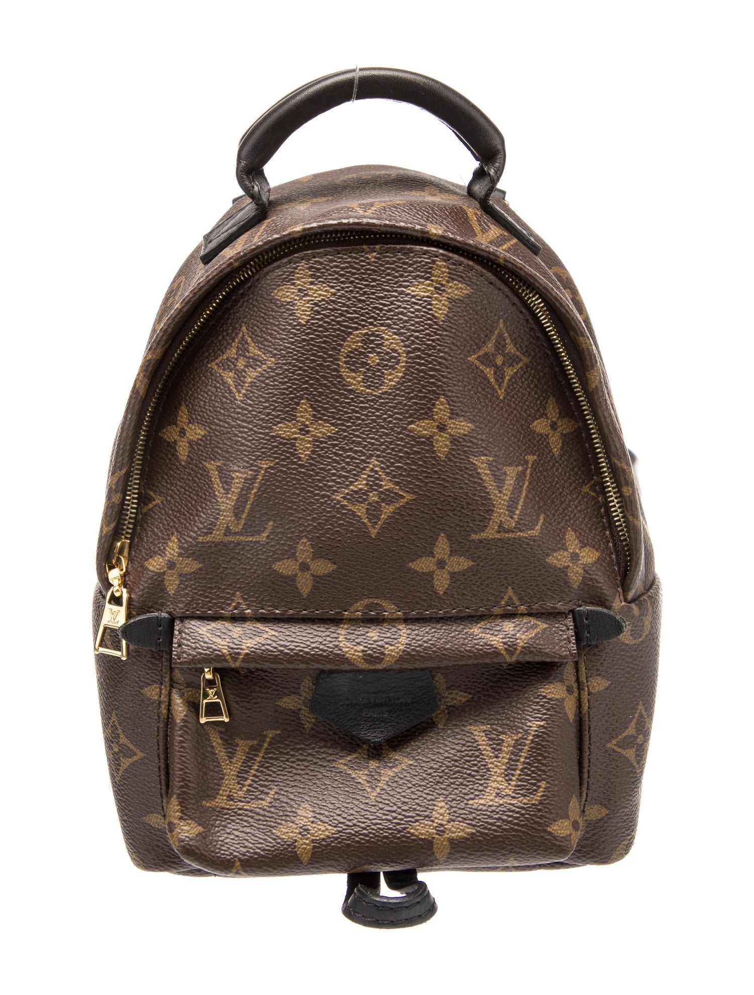 Louis Vuitton LV Monogram Palm Springs Mini