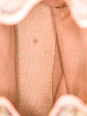 Louis Vuitton Coated Canvas Montsouris MM