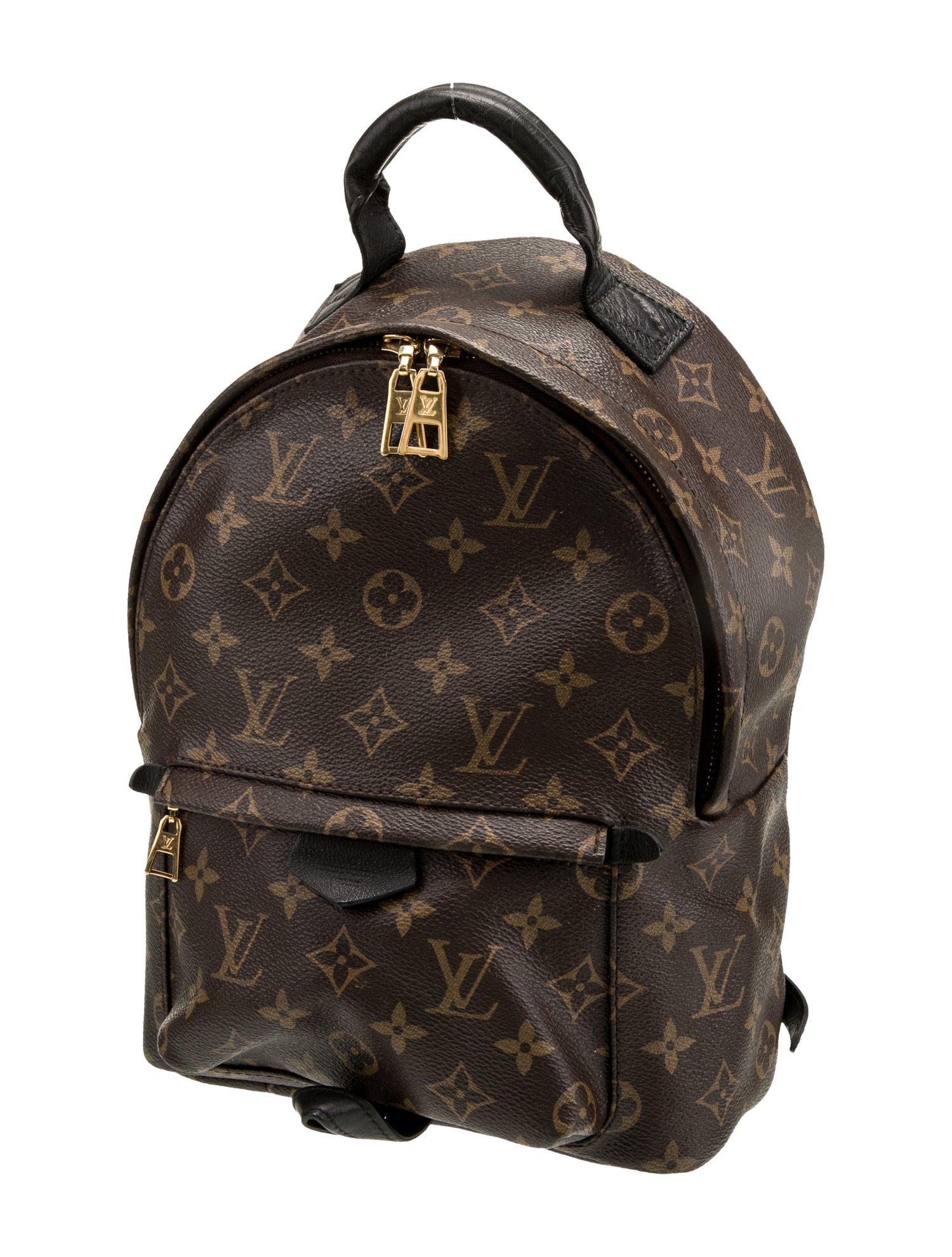 Louis Vuitton LV Monogram Palm Springs PM