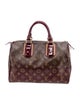 Louis Vuitton LV Monogram Mirage Speedy 30 Vintage