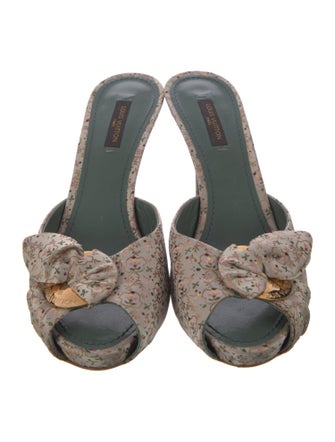 Louis Vuitton Printed Slides