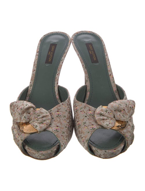 Louis Vuitton Printed Slides