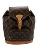 Louis Vuitton LV Monogram Montsouris MM