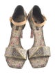 Louis Vuitton Denim Printed Sandals