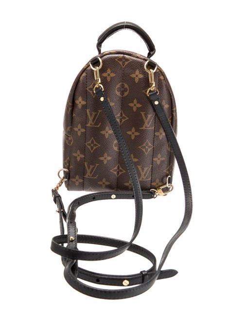 Louis Vuitton LV Monogram Palm Springs Mini