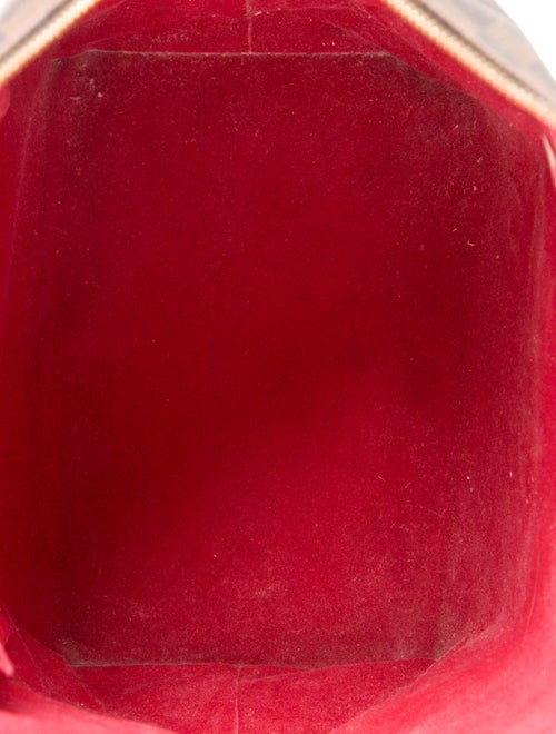 Louis Vuitton Damier Ebene Saleya MM Vintage