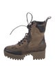 Louis Vuitton 2019 Laureate Combat Boots