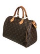 Louis Vuitton LV Monogram Speedy 30