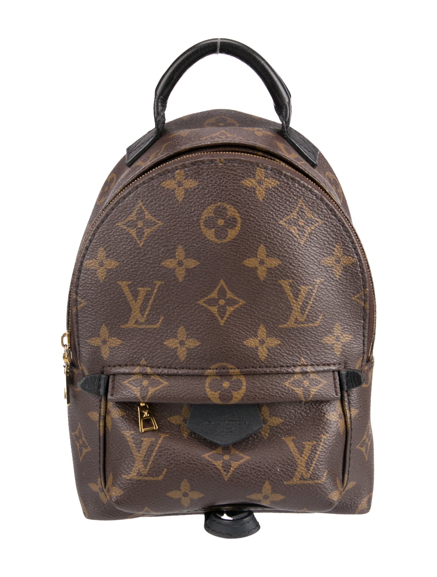 Louis Vuitton LV Monogram Palm Springs Mini