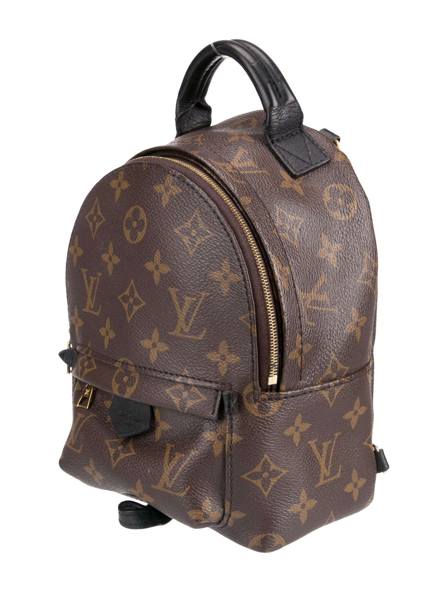 Louis Vuitton LV Monogram Palm Springs Mini