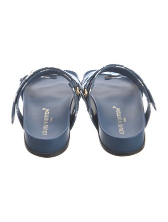 Louis Vuitton Canvas Printed Slides