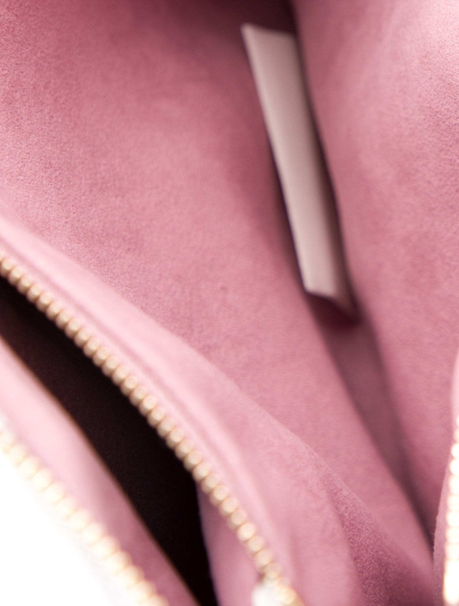 Louis Vuitton Leather Monogram Garden Coussin PM