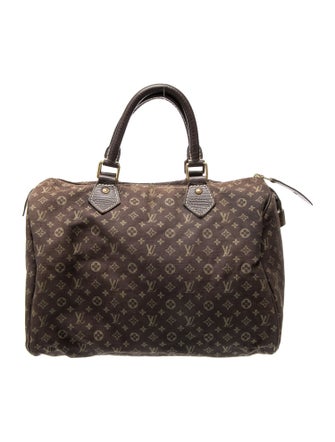 Louis Vuitton Monogram Mini Lin Speedy 30