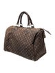 Louis Vuitton Monogram Mini Lin Speedy 30
