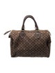 Louis Vuitton Monogram Mini Lin Speedy 30
