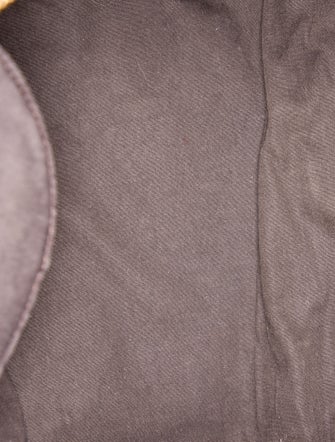 Louis Vuitton Monogram Mini Lin Speedy 30