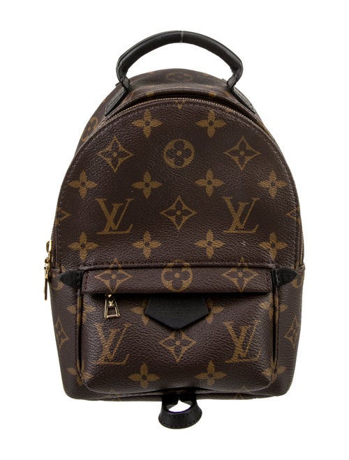 Louis Vuitton LV Monogram Palm Springs Mini