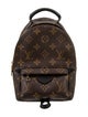 Louis Vuitton LV Monogram Palm Springs Mini