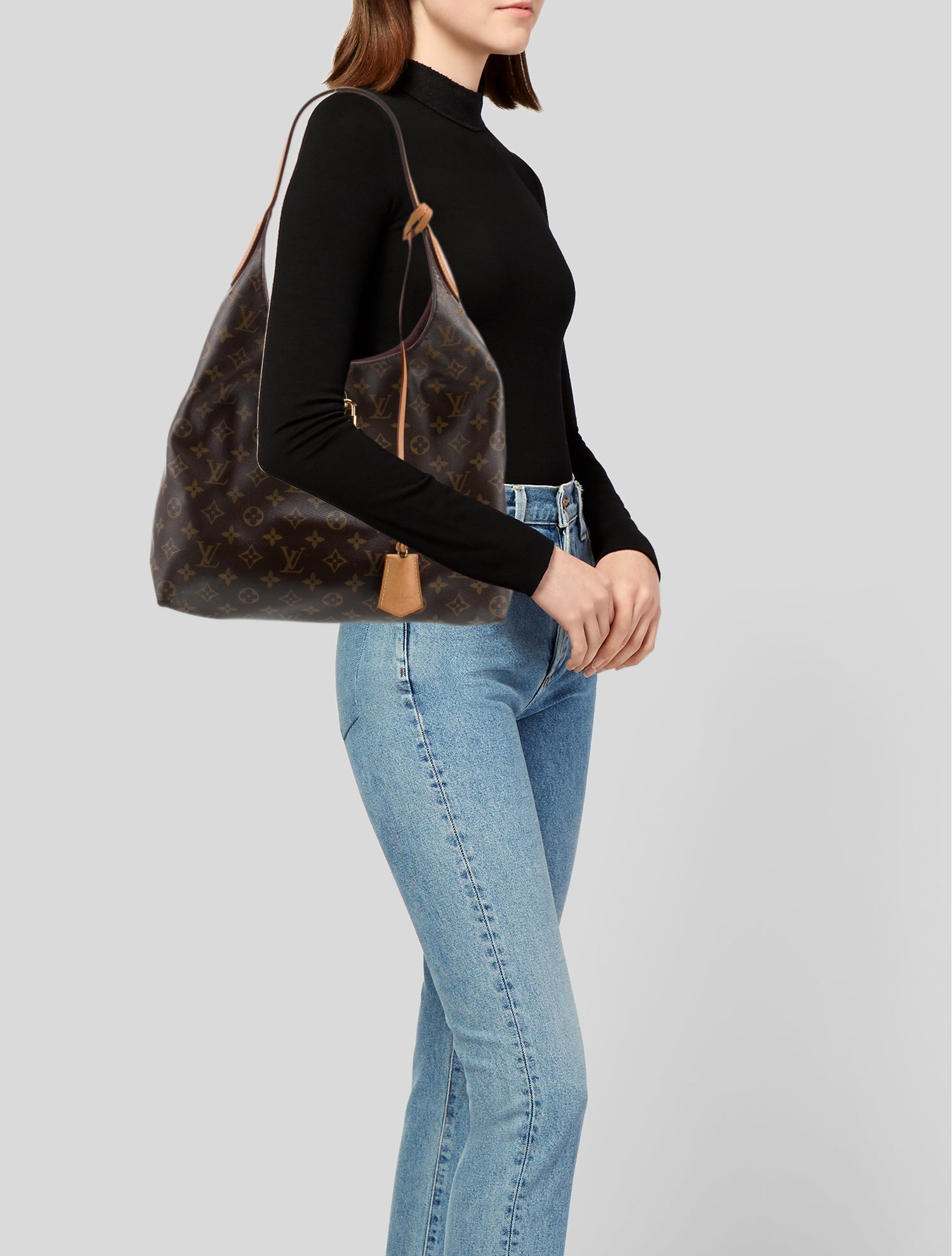 Louis Vuitton LV Monogram Delightful