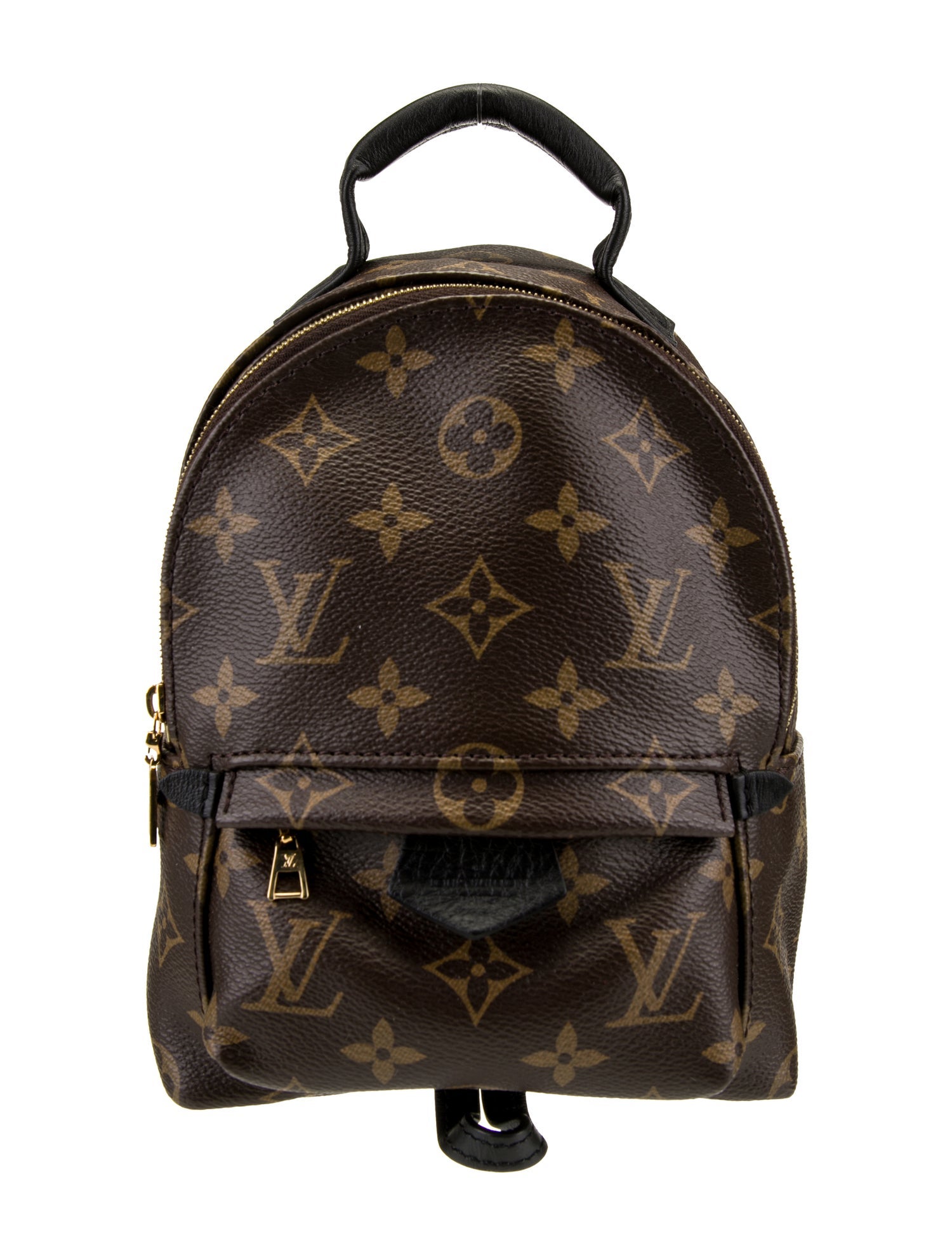 Louis Vuitton LV Monogram Palm Springs Mini