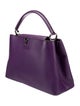 Louis Vuitton Taurillon Leather Capucines PM