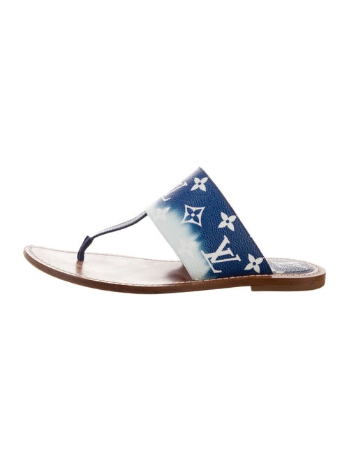 Louis Vuitton LV Monogram Slides