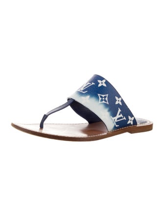 Louis Vuitton LV Monogram Slides
