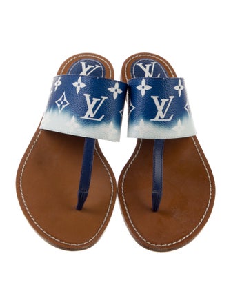 Louis Vuitton LV Monogram Slides