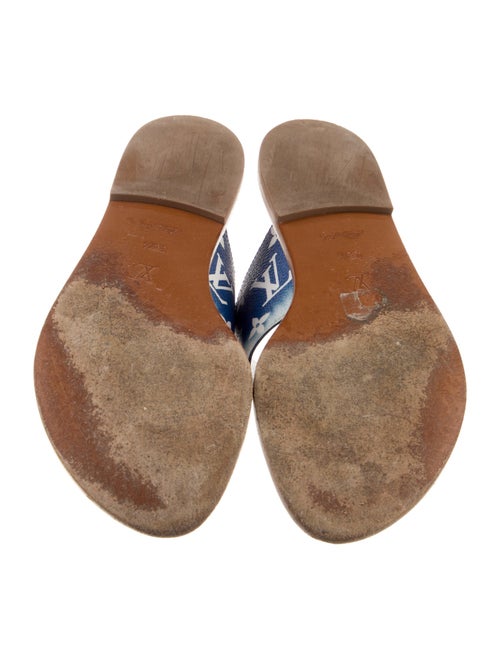 Louis Vuitton LV Monogram Slides