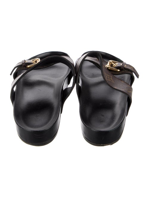 Louis Vuitton LV Monogram Slides