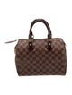 Louis Vuitton Damier Ebene Speedy 25