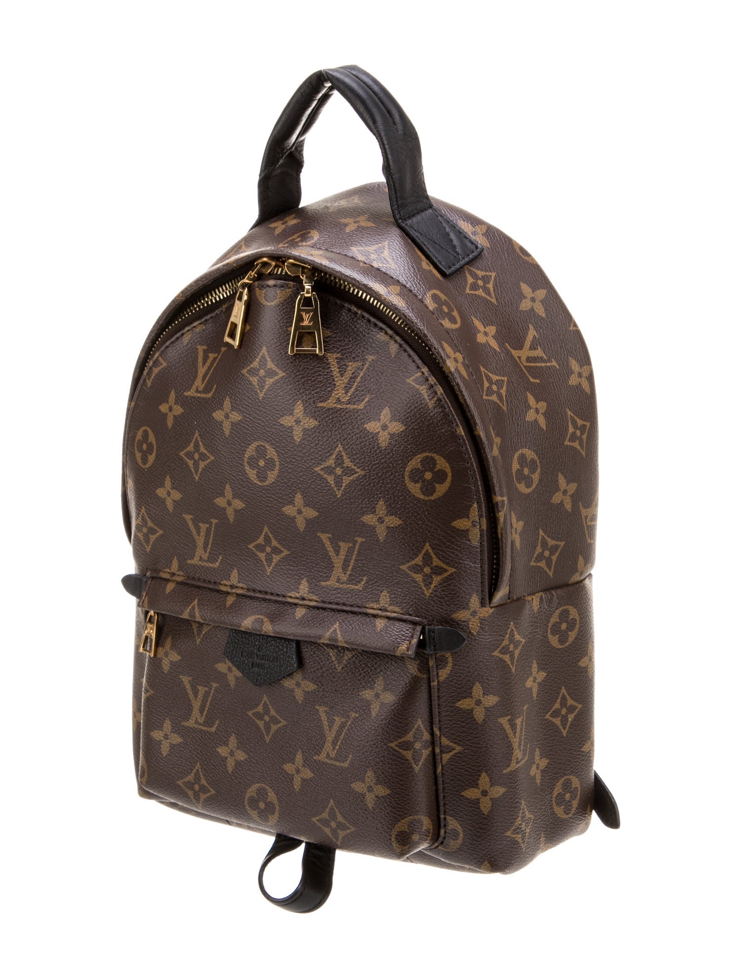 Louis Vuitton LV Monogram Palm Springs PM