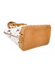 Louis Vuitton Multicolore Monogram Alma PM