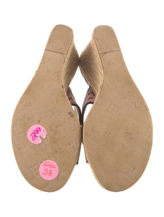 Louis Vuitton LV Monogram Canvas Espadrilles