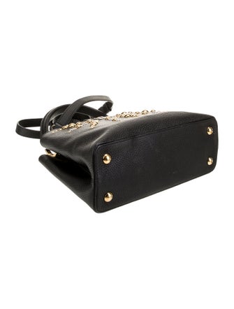 Louis Vuitton Taurillon Leather Capucines PM