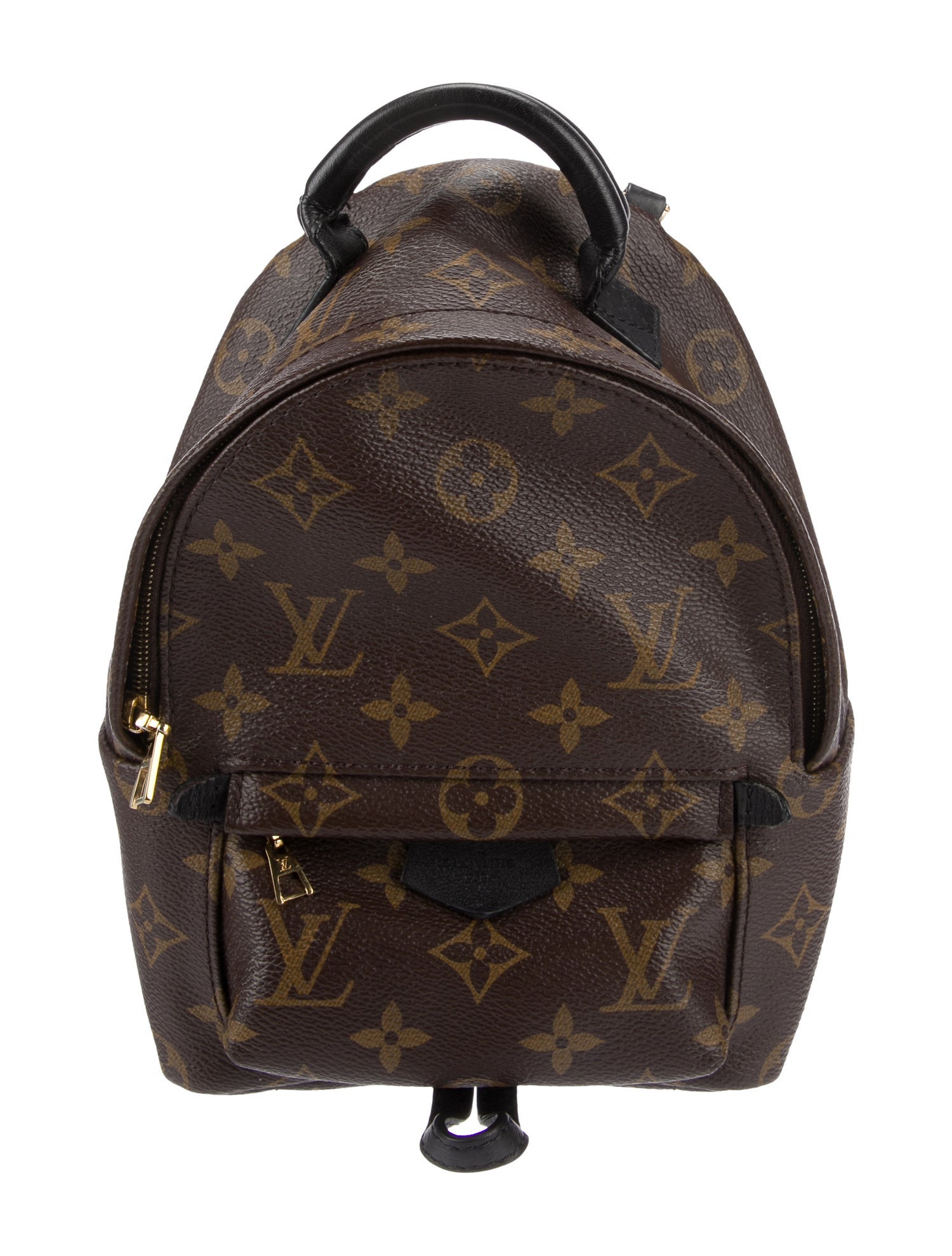 Louis Vuitton LV Monogram Palm Springs Mini