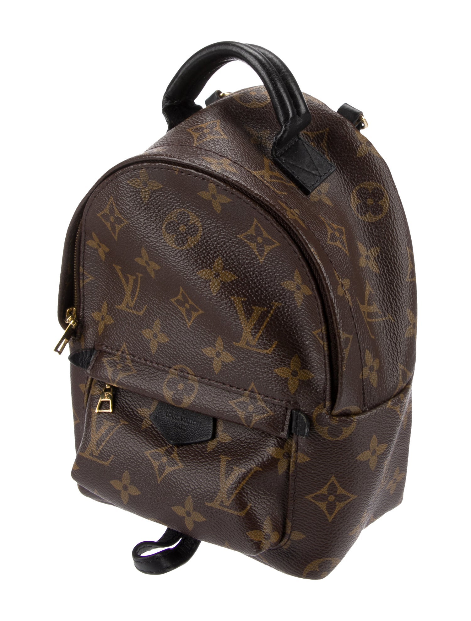 Louis Vuitton LV Monogram Palm Springs Mini