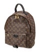 Louis Vuitton LV Monogram Palm Springs MM
