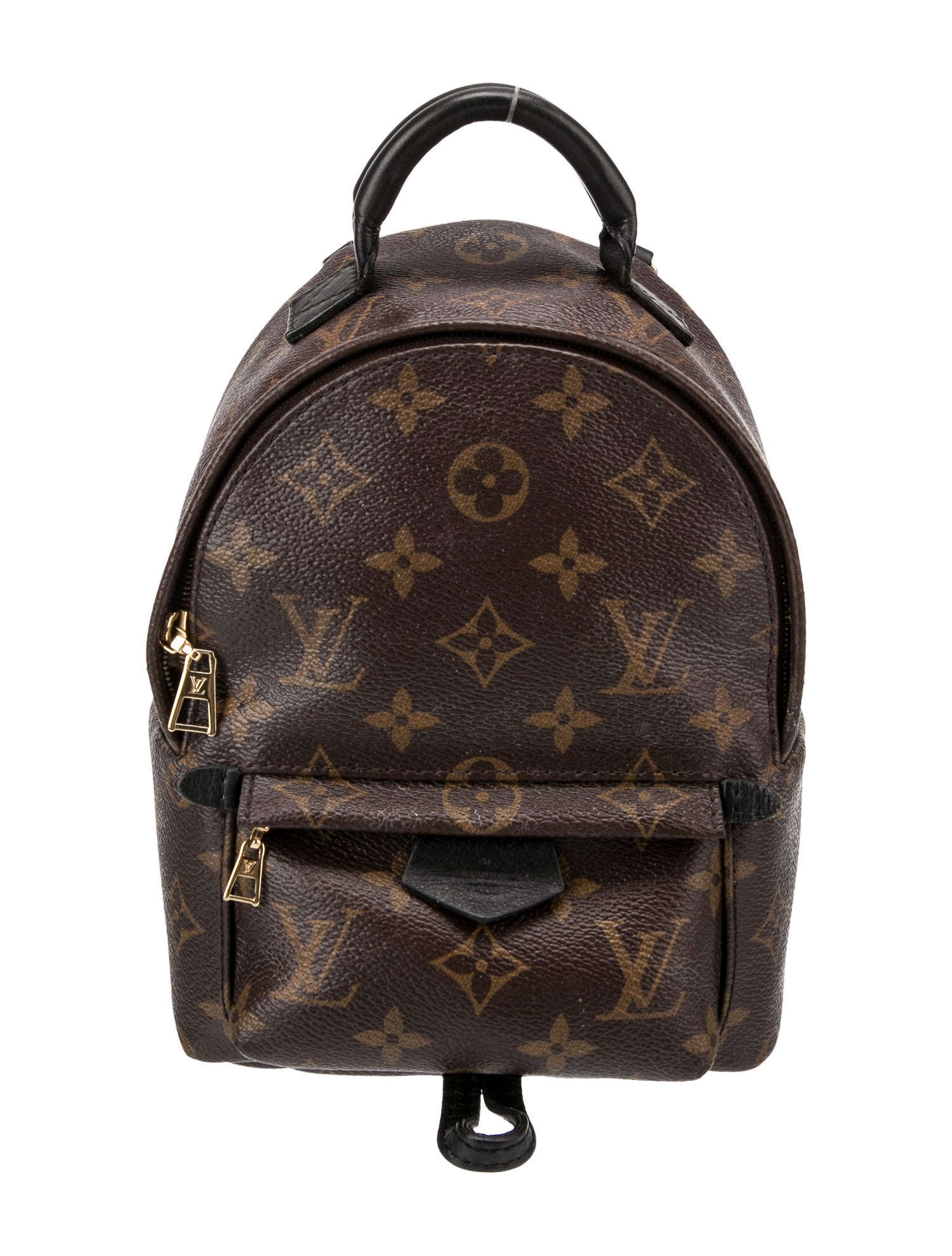 Louis Vuitton LV Monogram Palm Springs Mini