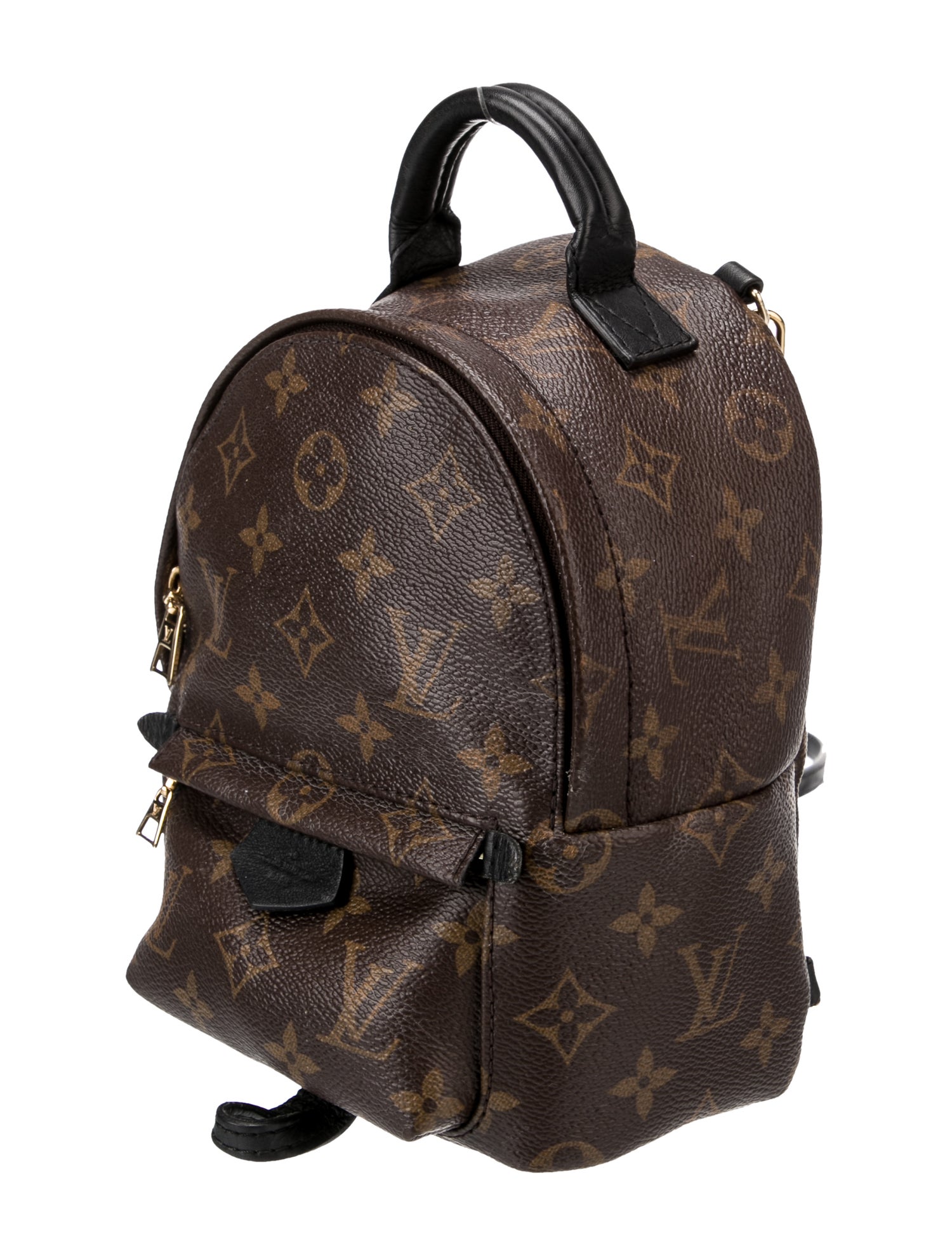 Louis Vuitton LV Monogram Palm Springs Mini