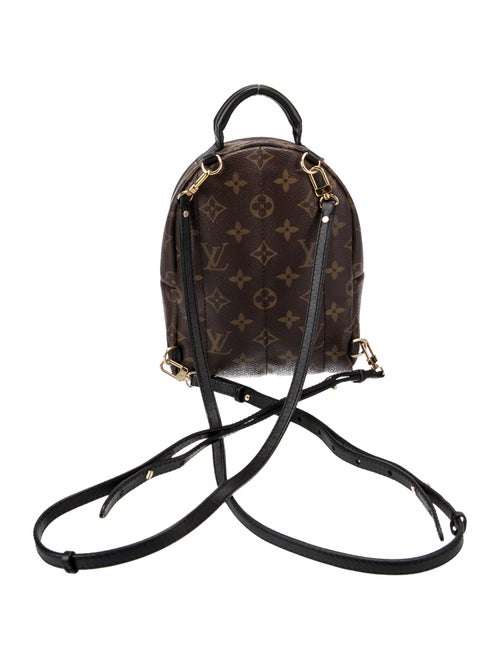Louis Vuitton LV Monogram Palm Springs Mini