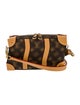 Louis Vuitton Coated Canvas Blurry Soft Trunk Messenger 2022